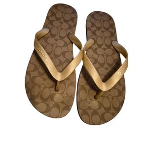 Coach Zak Flip Flops  Khaki and Gold